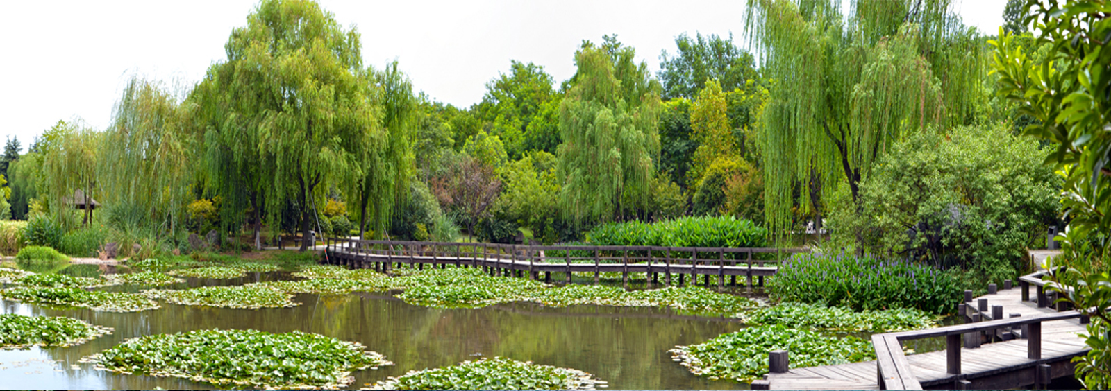 url(http://www.598sugz.cn/theme/TP000163/pic/banner4.jpg)